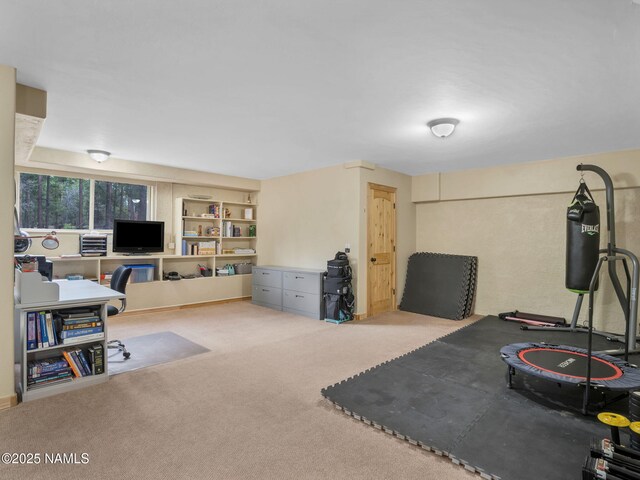 284 E Foothill Trl, Williams, AZ 86046 - office with carpet flooring