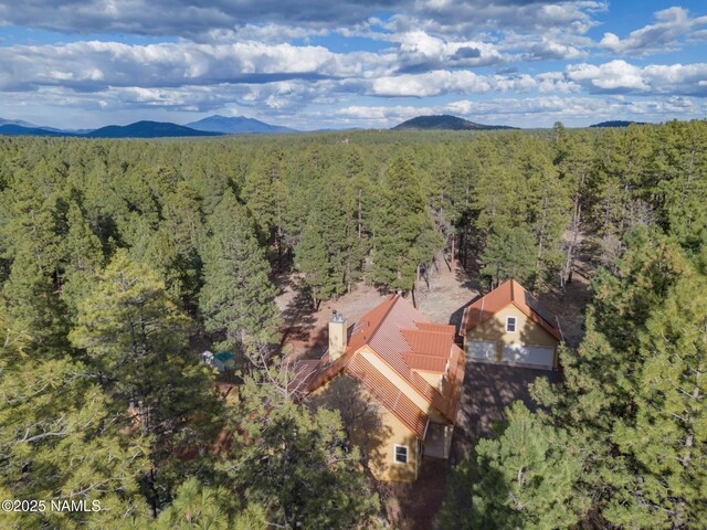 284 E Foothill Trl, Williams, AZ 86046 - aerial view featuring a wooded view and a mountain view