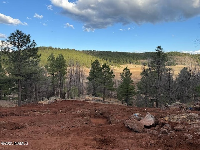 4965 W Braided Rein, Flagstaff, AZ 86005 - view of tree filled area