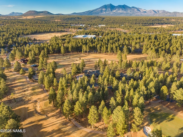 4105 W Tack Room, Flagstaff AZ, 86005 land for sale