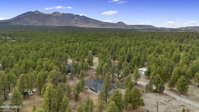 5940 Glenwood Trl, Flagstaff, AZ 86004 - photo 55