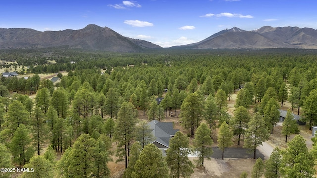 5940 Glenwood Trl, Flagstaff, AZ 86004 - photo 54