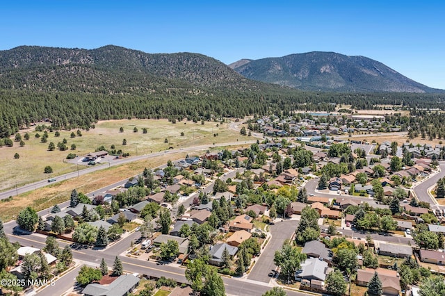 3425 W Mountain Dr, Flagstaff, AZ 86001 - aerial view of residential area with a mountain backdrop