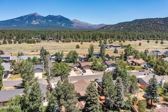 3425 W Mountain Dr, Flagstaff, AZ 86001 - aerial view of residential area with a mountain backdrop and a heavily wooded area