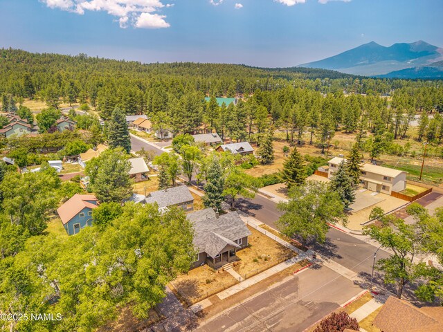 223 N Mogollon St, Flagstaff, AZ 86001 - photo 24
