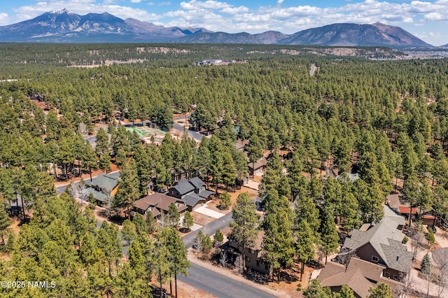 3525 W Lead Rope, Flagstaff, AZ 86005 - photo 32