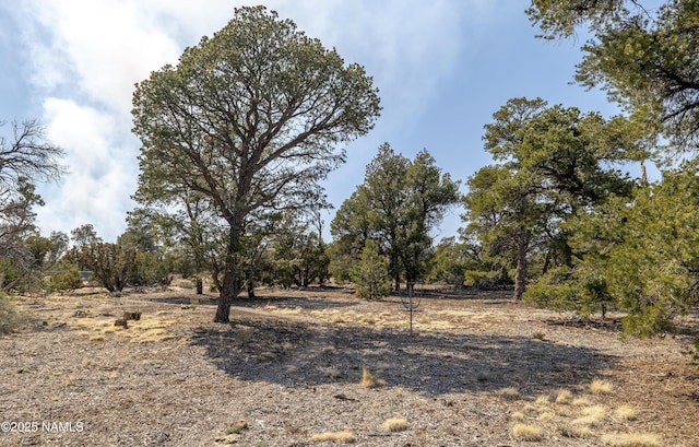 6440 N Haven Ln, Flagstaff, AZ 86004 - photo 29