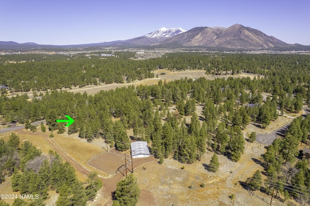 birds eye view of property featuring a mountain view