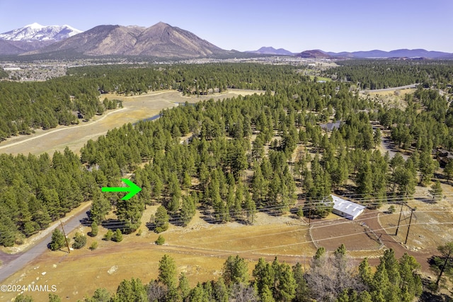 birds eye view of property with a mountain view