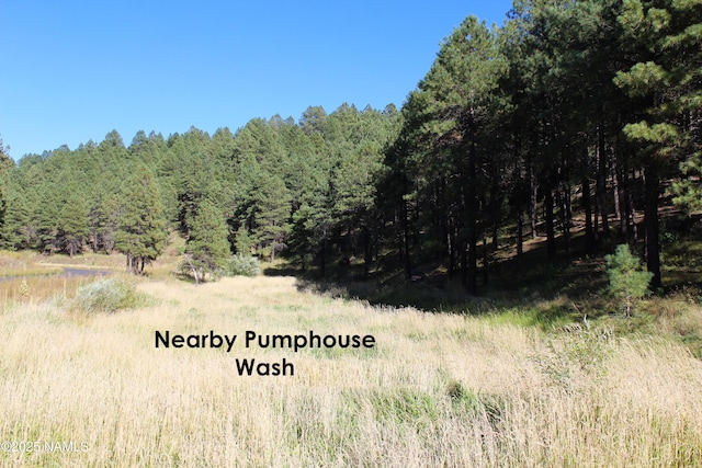 2885 Kweo Trl, Flagstaff, AZ 86005 - photo 38