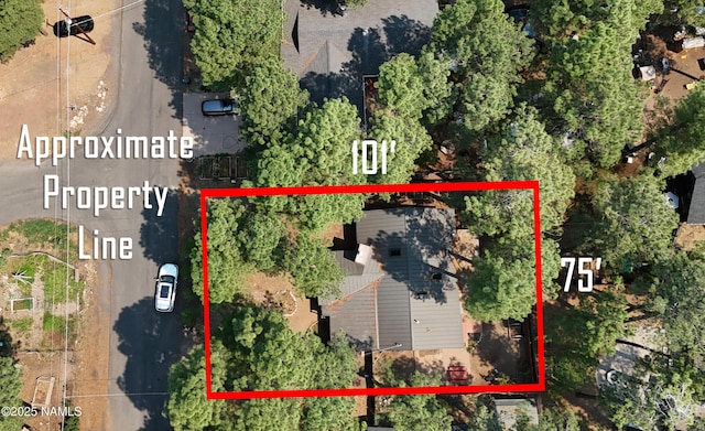 2885 Kweo Trl, Flagstaff, AZ 86005 - photo 31