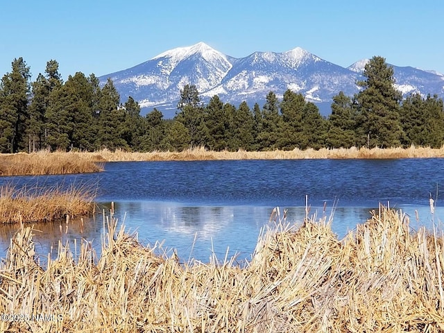 2885 Kweo Trl, Flagstaff, AZ 86005 - photo 40