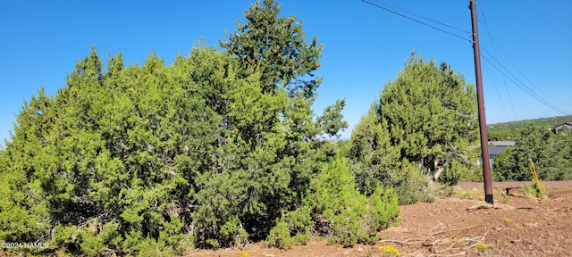 2432 E Fir St, Williams AZ, 86046 land for sale