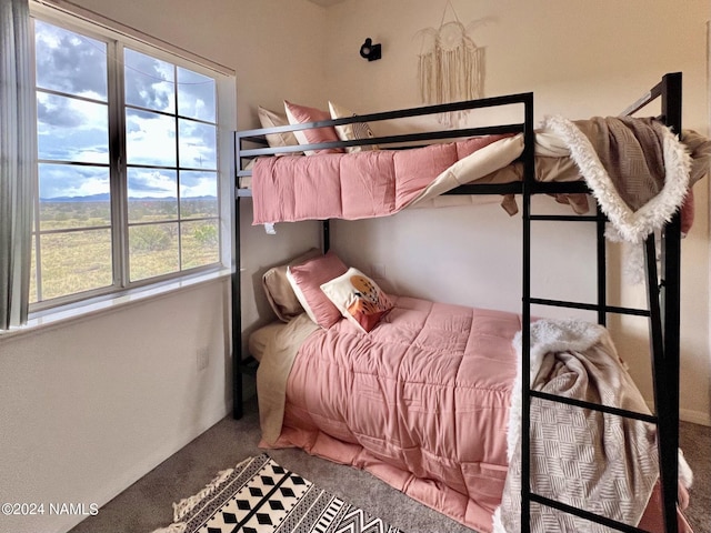 bedroom with carpet floors