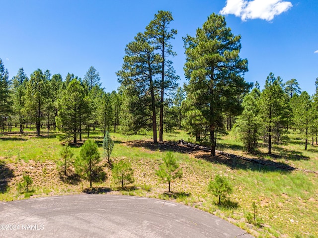 Listing photo 3 for 5330 N Nordica Loop, Flagstaff AZ 86004