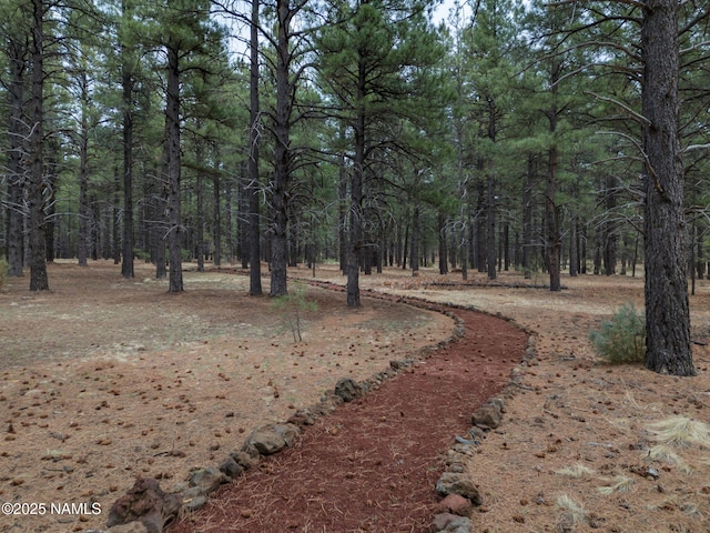 389 N Laramy Ln, Parks, AZ 86018 - view of road with a wooded view
