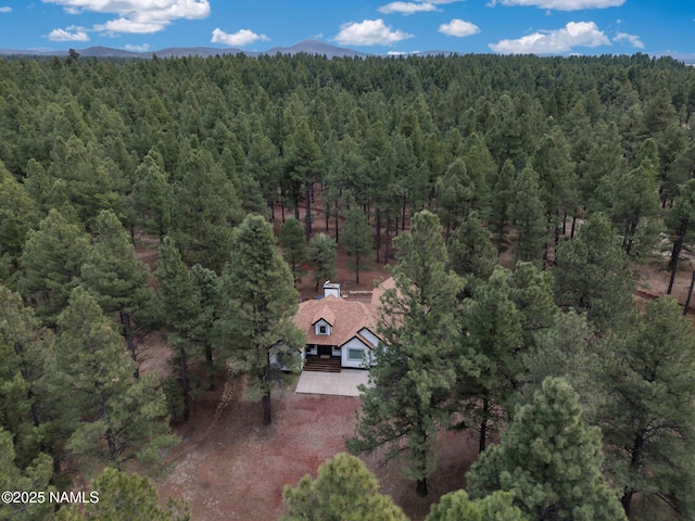 389 N Laramy Ln, Parks, AZ 86018 - aerial view of property and surrounding area featuring a heavily wooded area and a mountain backdrop