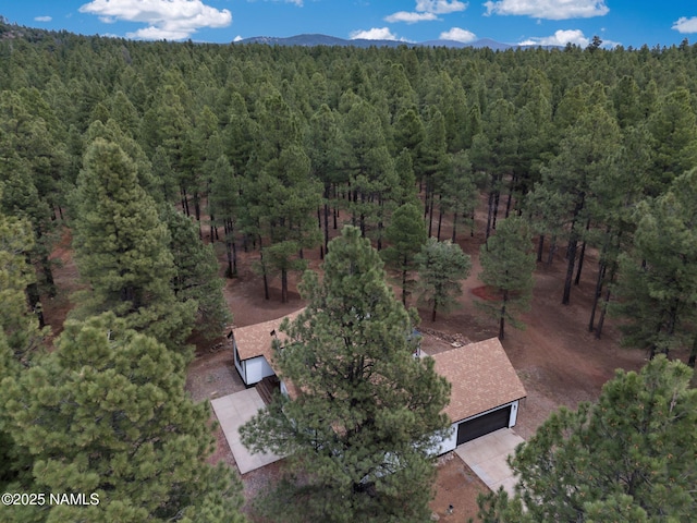 389 N Laramy Ln, Parks, AZ 86018 - aerial view of property and surrounding area featuring a forest and mountains