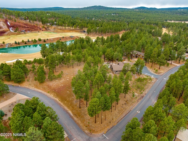 3610 W Strawberry Roan Unit 169, Flagstaff, AZ 86005