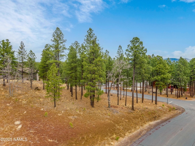 3610 W Strawberry Roan Unit 169, Flagstaff, AZ 86005