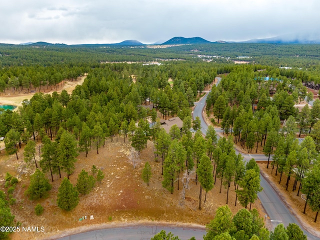 3610 W Strawberry Roan Unit 169, Flagstaff, AZ 86005