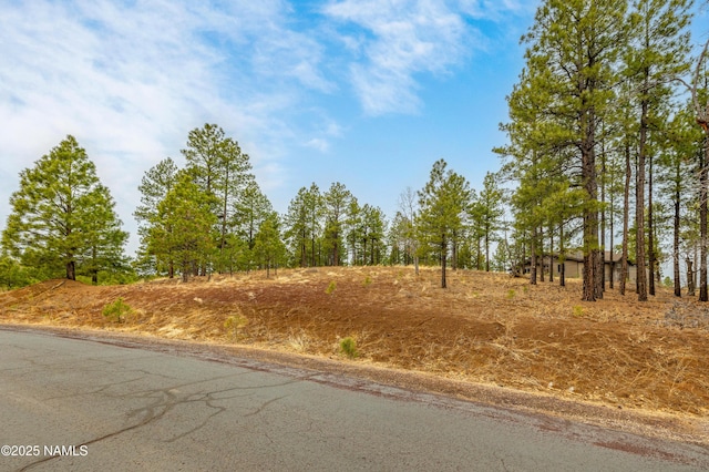 3610 W Strawberry Roan Unit 169, Flagstaff, AZ 86005
