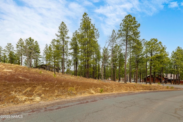 3610 W Strawberry Roan Unit 169, Flagstaff, AZ 86005