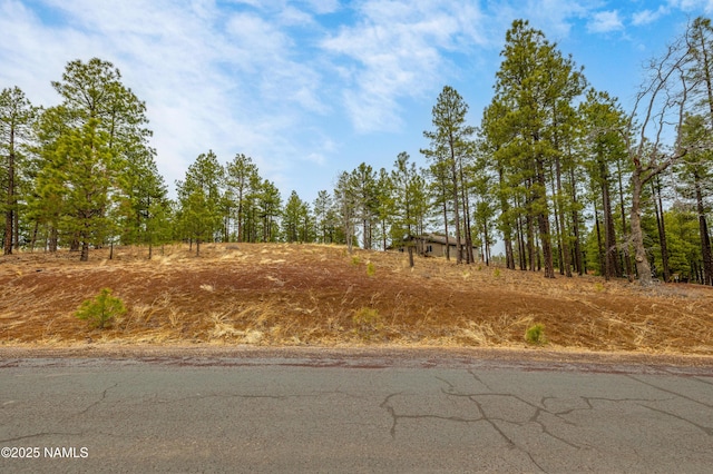 3610 W Strawberry Roan Unit 169, Flagstaff, AZ 86005