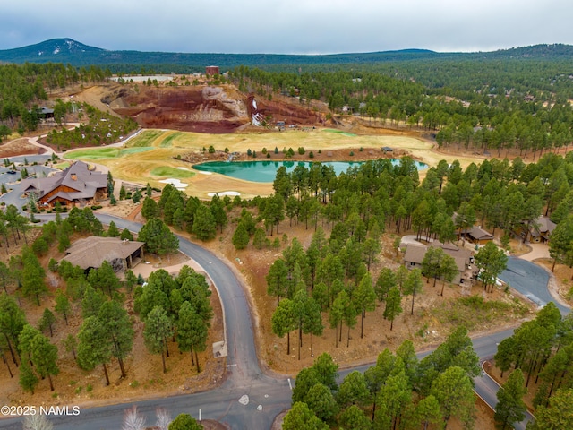 3610 W Strawberry Roan Unit 169, Flagstaff, AZ 86005