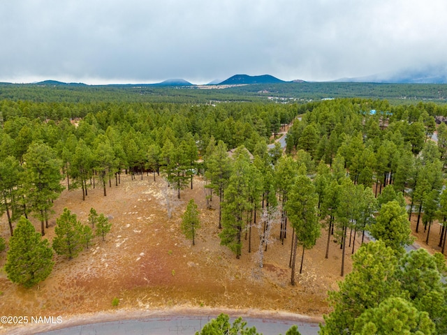 3610 W Strawberry Roan Unit 169, Flagstaff, AZ 86005