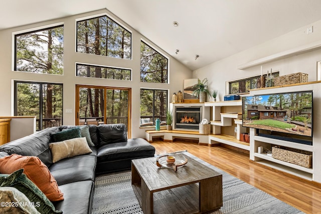 living room with a glass covered fireplace, high vaulted ceiling, plenty of natural light, and wood finished floors