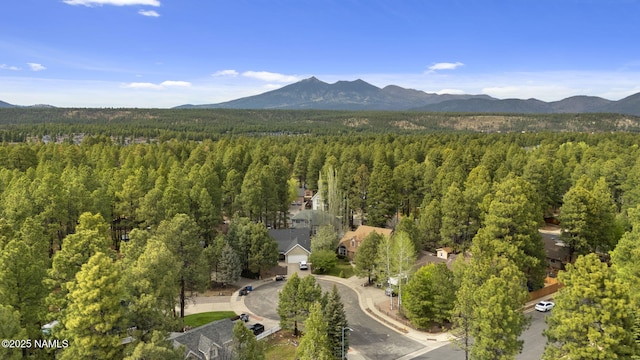 1911 W University Heights Dr S, Flagstaff, AZ 86005 - photo 49