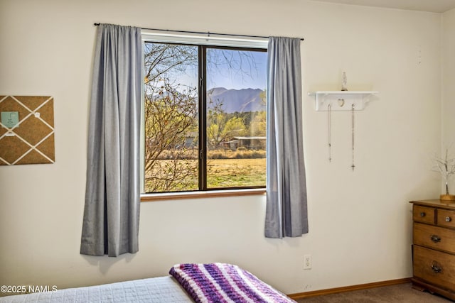 11280 N Zady Ln, Flagstaff, AZ 86004 - bedroom with baseboards