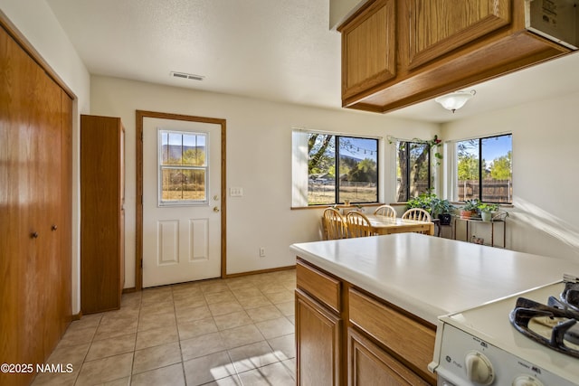 11280 N Zady Ln, Flagstaff, AZ 86004 - kitchen featuring brown cabinets, light countertops, visible vents, light tile patterned floors, and range