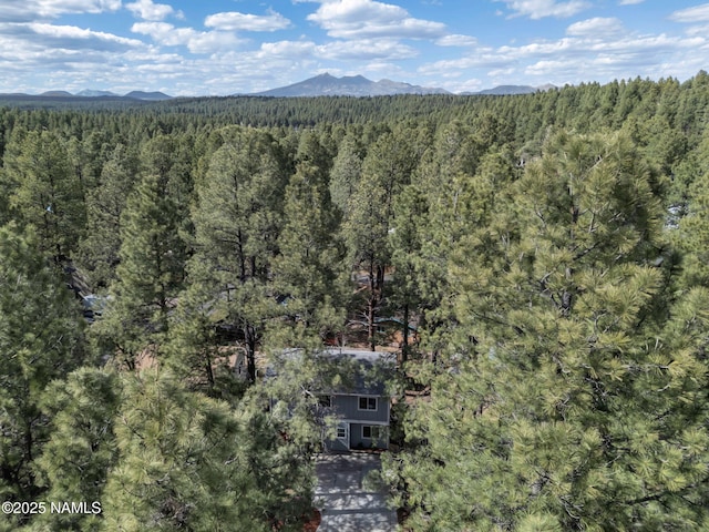867 Onieda, Flagstaff, AZ 86005 - aerial view of a forest and a mountainous background