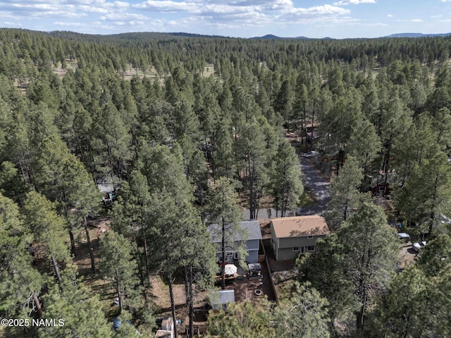 867 Onieda, Flagstaff, AZ 86005 - bird's eye view of a heavily wooded area