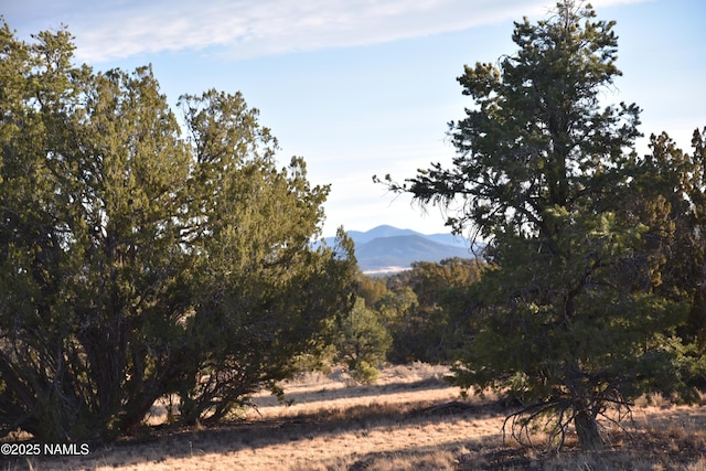 9075 Bird Dog Cir, Williams AZ, 86046 land for sale