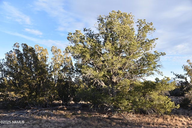 Listing photo 2 for 9075 Bird Dog Cir, Williams AZ 86046