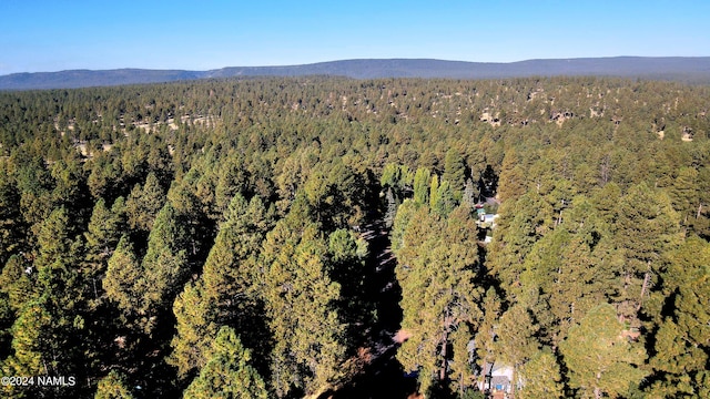 aerial view with a mountain view