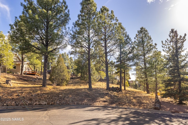 4423 E Moonshadow Ln, Flagstaff AZ, 86004 land for sale