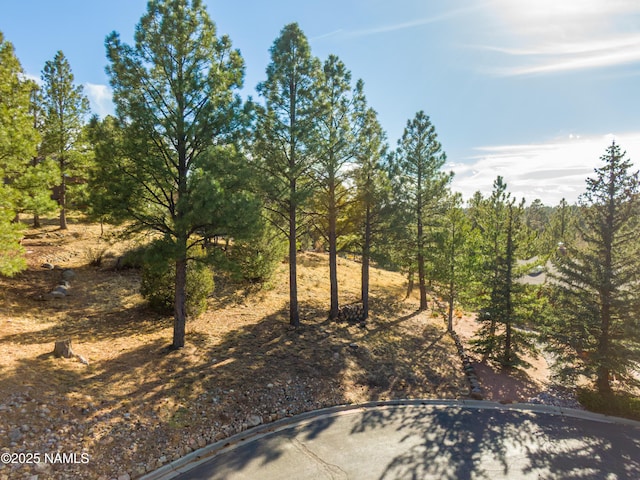 Listing photo 2 for 4423 E Moonshadow Ln, Flagstaff AZ 86004