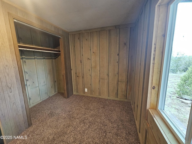 588 W Mesa Dr, Williams, AZ 86046 - unfurnished bedroom featuring wooden walls, carpet, and a closet