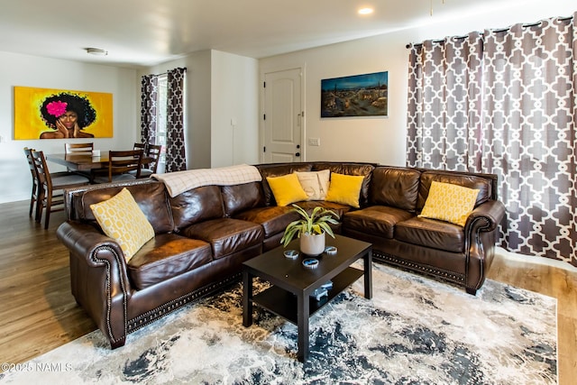 living room featuring wood finished floors
