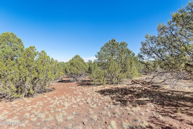 1601 W Wolf Ln, Williams, AZ 86046 - photo 16