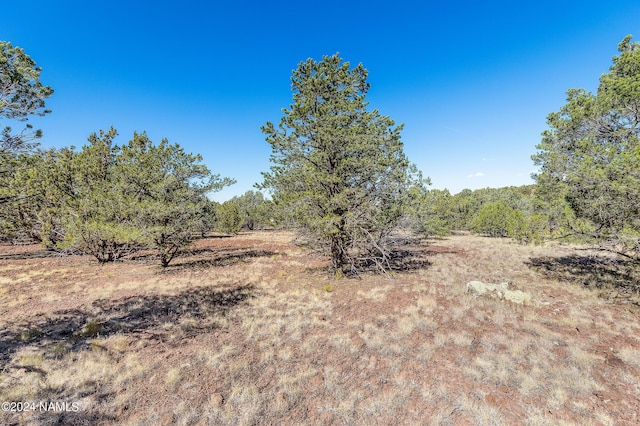 1601 W Wolf Ln, Williams, AZ 86046 - photo 13