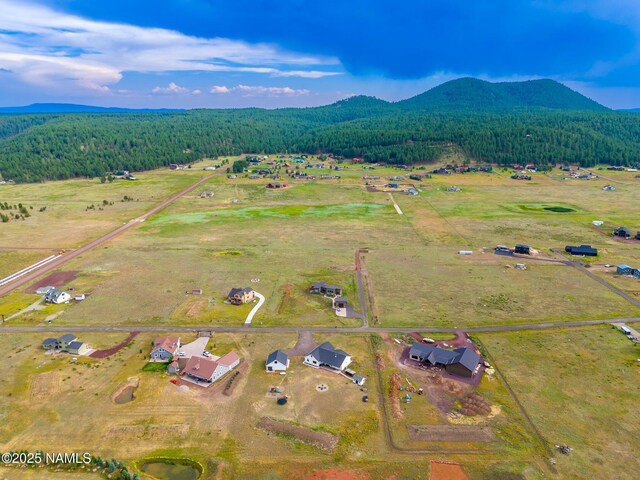 6552 Kelsey Springs Way, Flagstaff, AZ 86001 - overview of rural landscape with a heavily wooded area and a mountain backdrop