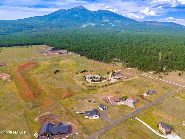 6552 Kelsey Springs Way, Flagstaff, AZ 86001 - drone / aerial view of a heavily wooded area and mountains