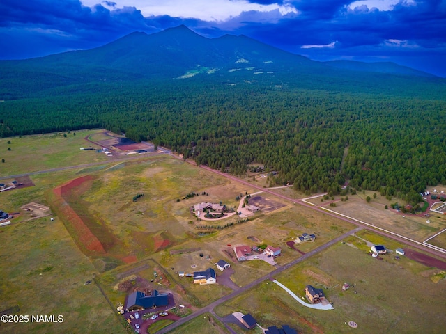 6552 Kelsey Springs Way, Flagstaff, AZ 86001 - drone / aerial view of a forest and a mountainous background