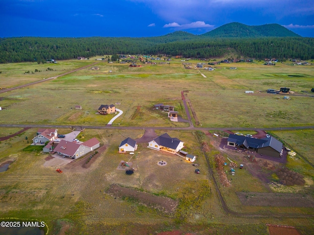 6552 Kelsey Springs Way, Flagstaff, AZ 86001 - view of rural area featuring a heavily wooded area and a mountainous background
