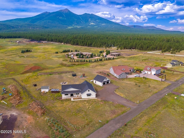 6552 Kelsey Springs Way, Flagstaff, AZ 86001 - aerial view of a mountainous background and a heavily wooded area